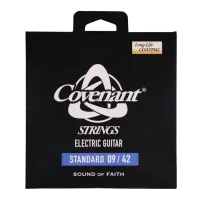 Covenant  AGS-0942E струны для электрогитары.