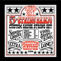 Ernie Ball 2309 струны для 5-стр. банджо Stainless Steel Medium (10-13-15-24w-10)
