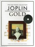 MUSIC SALES CH78782 - Книга с нотами / аккордами для клавишных