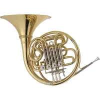 J. Michael FH-850 Валторна, двойная, 4-х вентильная, полужесткий кейс