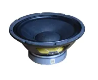 Xline 12-W-NPS12 Динамик 12" для NPS-12A, 200 Вт (WF12CW)