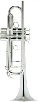 Труба Bb CarolBrass CTR-5060H-GSS-Bb-S