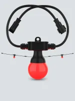 CHAUVET-DJ Festoon 2 RGB EXT комплект из 20 светодиодных ламп Feston 2 (БЕЗ КОНТРОЛЛЕРА).