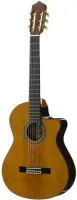 Electrified guitar Jose Ramirez 2NCWE ProBlend - 2NCWE guitar with Fishman Pro Blend equipment installed.