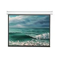 Экран моторизированный ViewScreen Antis Pro (4:3) 508*402 (496*372) MW (с пультом)