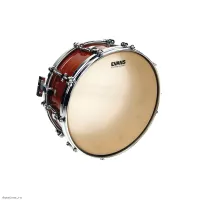 EVANS CT14S - Пластик 14"