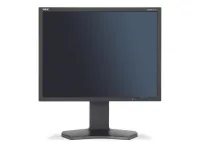 NEC MultiSync P212 - LCD Монитор, черный