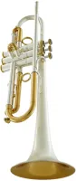 Труба Bb CarolBrass CTR-8880L-GLT(D)-Bb-SRL-SLB(PIB)