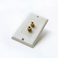 CVGAUDIO WSP01 - Одноканальный настенный декоративный кабельный вывод для спикерного кабеля (акустическая розетка)