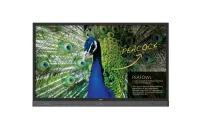 BenQ RP750K - Интерактивная LED-панель