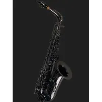 Cannonball Gerald Albright Signature GA5-B  альт-саксофон профессиональный, черный никель