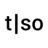 TORSO ELECTRONICS / Дания