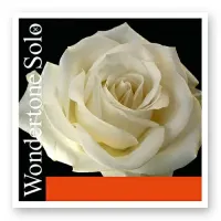 Струна для скрипки Pirastro Wondertone Solo 410221 Ля (A)