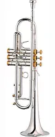 Trumpet Bb Stomvi Elite 5335 330-ML - Professional Bb trumpet with ML bore and reverse mouthpipe. Rich dark timbre, precise intonation and good projection.