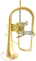 Флюгельгорн CarolBrass CFL-6200-GSS-Bb-NL-LH