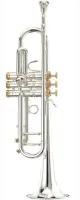 Trumpet Bb Stomvi Elite 5330 250-ML - Professiona ML Bb trumpet with L bore and standard mouthpipe. Rich dark timbre, precise intonation and good projection.