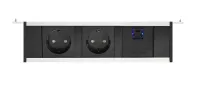 ABL 2M80F2A3- Розеточная станция серии Level тип F (Level-F) с 2 розетками, 1xUSB-A и 1xUSB-C, черная с серебристым