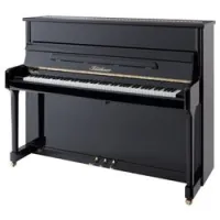 Bluthner Model C BP  Пианино 118 cм черное полированное