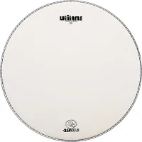 WILLIAMS DS49-7MIL-12 - двуслойный пластик, 12", с напылением