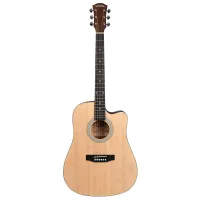 CASCHA CGA110