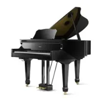 Roland gp609-pe  цифровой рояль, 88 клавиш, 384 полифония, 319 тембр, вес 148 кг