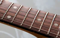 FB-3, Накладка грифа les paul ALINA PRO FB-3