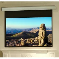 Draper Silhouette/E NTSC (3:4) 244/96" 152*203 MW ebd 12" case grey - Моторизированный проекционный экран