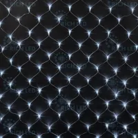 RICH LED RL-N2*1.5-T/W - Светодиодная сетка