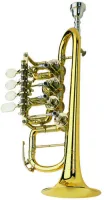 Роторная труба-пикколо Bb/A Scherzer JS8111G-1-0D
