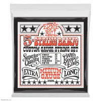 ERNIE BALL 2309 Stainless Steel Medium 10-10 - Струны для банджо