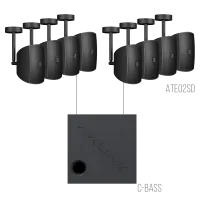AVCLINK MEDIUM/SB Состав комплекта: ATEO2SD/B 8 штук + C-BASS 1 штука черного цвета.