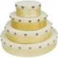 TERRIS HDD-25NW - Бубен