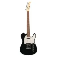 Fernandes te-1z blk  электрогитара, цвет черный