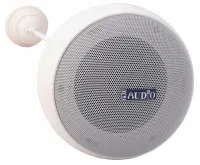 BS-10, Подвесной громкоговоритель PROAUDIO BS-10