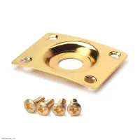 PAXPHIL HJ005-GD - крышка разъема 1/4" для электрогитары