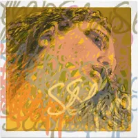 Double bass string set Evah Pirazzi Slap 445090 - Combination of gut and synthetic 3/4 double bass strings with dark, rich, hard and powerful sound, light tension.