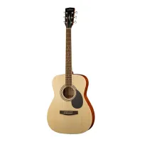 Parkwood PF51E-OP - Электроакустические гитары