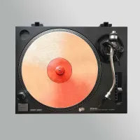 Stereo Slipmats Nipple 2мм - Слипматы