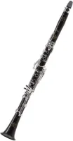 Пара кларнетов Buffet Crampon Divine BC1360L-2-0