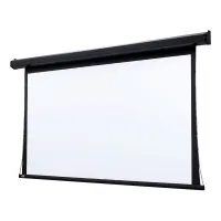 Экран Premier NTSC (3:4) 305/120" 183*244 CH1200V ebd 12" case white