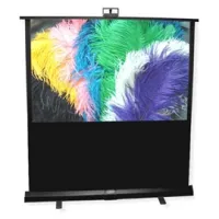 Экран Piper NTSC (3:4) 213/84" 128*171 XT1000E (MW)