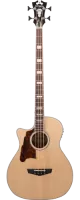 Акустическая бас-гитара для левшей D'Angelico Premier Mott PB-700-LNAC