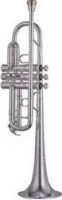 Yamaha YTR-8445G  труба C профессиональная, тяжелая, чистый лак, gold brass bell