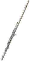 Флейта Pearl Opera F-OS10KZREOF