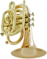 Карманная труба Bb CarolBrass CPT-3000-GLS(D)-Bb-L