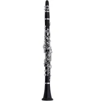 Кларнет Roy Benson CG-523 PRO Bb