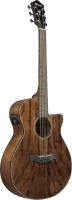 Ibanez Aeg61-nmh