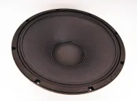 Soundking FB1803H - Динамики, драйверы