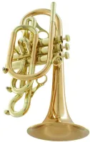 Корнет Bb CarolBrass Legendary CCR-7774R-RSM(D)-Bb-NL
