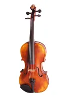 194-4/4 Pienza Скрипка концертная 4/4, Strunal